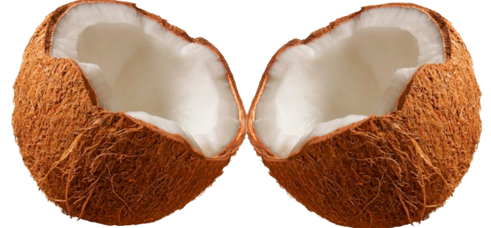 DE COCOS Y ESTRUCTURAS | Construinnova